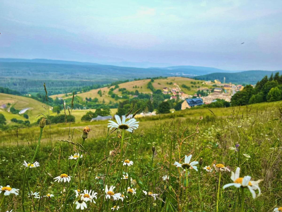 Hotel Skalka Zieleniec Duszniki Zdrój Esterno foto